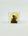 IITTALA ANNUAL CUBE 2020