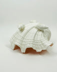 1950s CORAL PINK WHITE PORCELAIN FOOTED SHELL BOWL