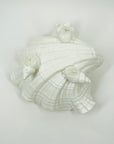 1950s CORAL PINK WHITE PORCELAIN FOOTED SHELL BOWL