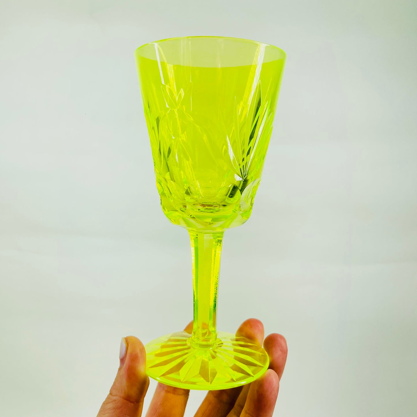 URANIUM GLASSES