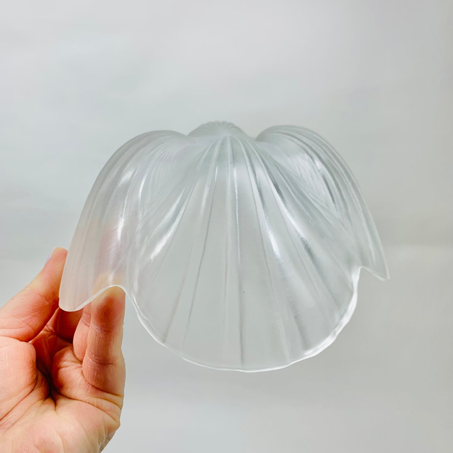 SMALL GLASS SHELL BOWL