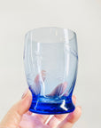 Blue Etched Glass Tumblers with Vine Pattern