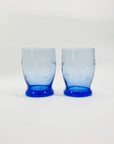 Blue Etched Glass Tumblers with Vine Pattern