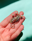 1970s sterling silver flower brooch with Japanese Koyomoto pearls