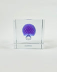 IITTALA ANNUAL CUBE 2021