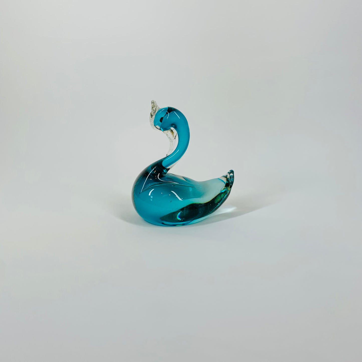 TURQUOISE SWAN