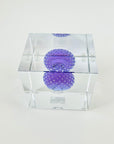 IITTALA ANNUAL CUBE 2021