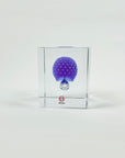 IITTALA ANNUAL CUBE 2021
