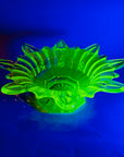 STARBURST URANIUM GLASS BOWL