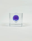 IITTALA ANNUAL CUBE 2021