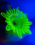 STARBURST URANIUM GLASS BOWL