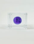 IITTALA ANNUAL CUBE 2021