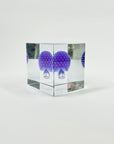 IITTALA ANNUAL CUBE 2021
