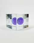 IITTALA ANNUAL CUBE 2021