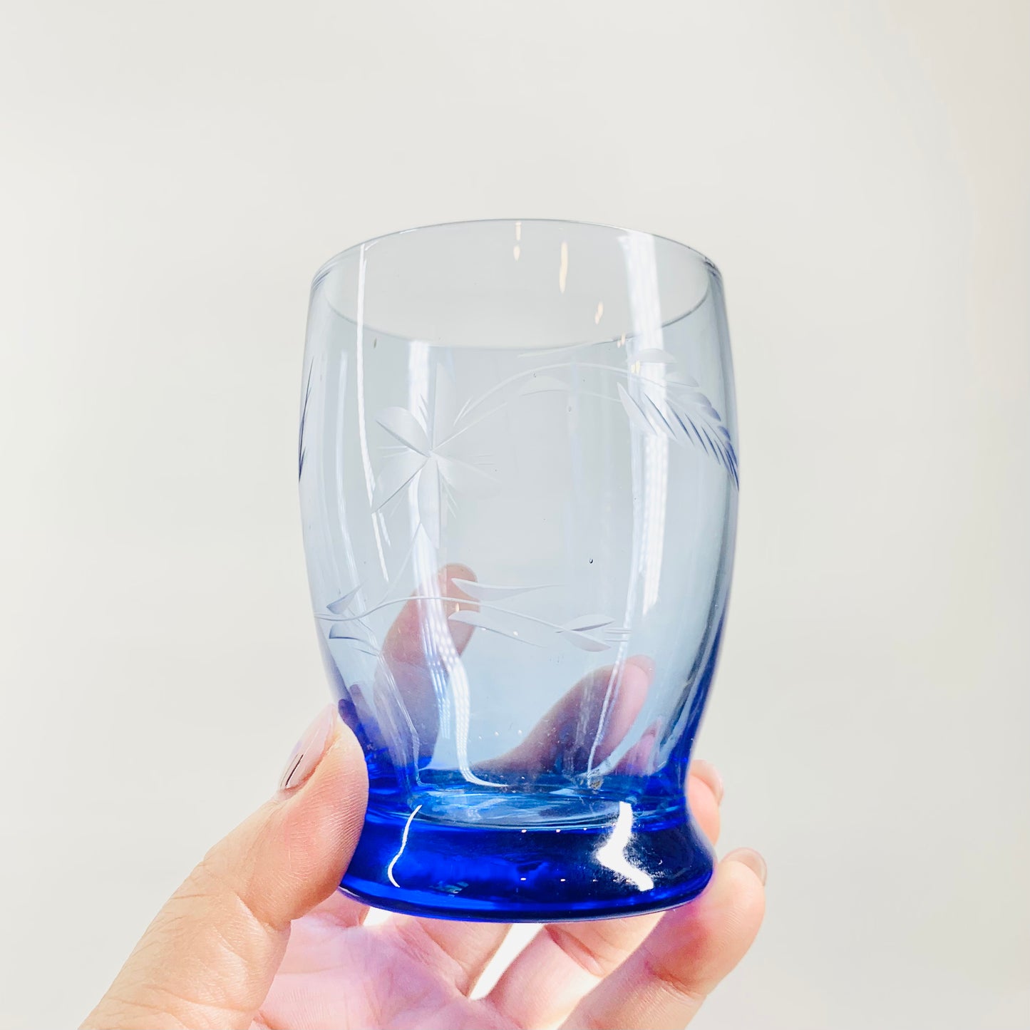 Blue Etched Glass Tumblers with Vine Pattern