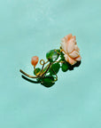 Antique hand carved coral rose brooch with jade leaves