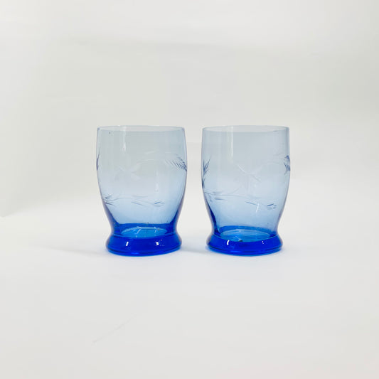 Blue Etched Glass Tumblers with Vine Pattern